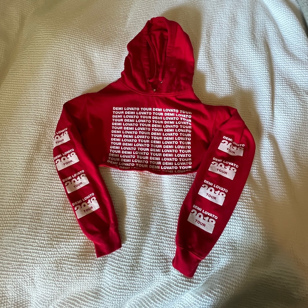 Cropped Demi Lovato Tour Hoodie